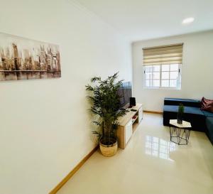 Carreira Vicente by Olá Madeira