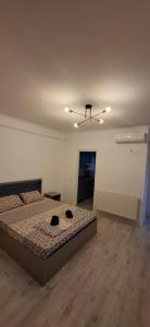 Anghel House- Militari Residence