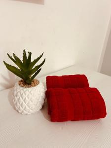 Room with shared bathroom in a shared flat