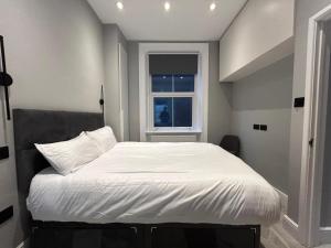 Stylish Fitzrovia Studio W1W Sleeps 4 Near Oxford Circus