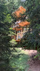 ECHIVITI Cottages in Abastumani