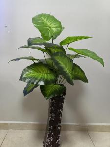 Rehema Homes unit 104