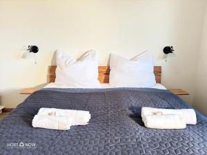 Alpen Panorama 2 - Lachtal Apartments