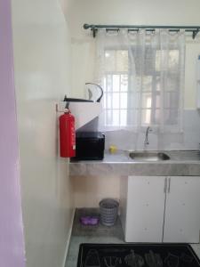 Sagana Croton Suites