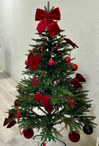 Зелений ретрит