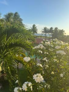Casa de Praia com Piscina em frente à praia para até 32 pessoas