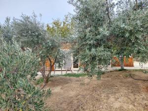 Pervolaris Cottages 1