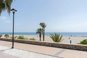 Siempre, Siempre el SOL