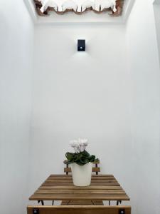Casa Alba
