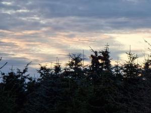 Luxury Spa Retreat in Thorsager - By Traum Ferienwohnungen