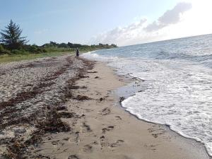 5 person holiday home in Malling-By Traum