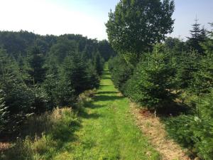 4 person holiday home in Odder