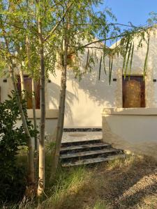 Bahariya Oasis hotel