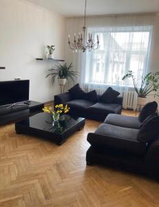 Elegants dzīvoklis Rīgas centrā