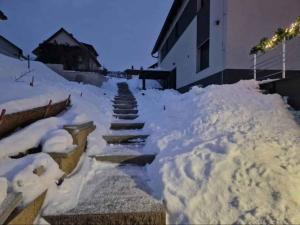 Apartment with Garden in Vrchlabi 53364