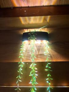 Cabin Hillside Dieng