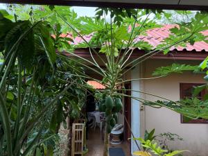 Mandala bungalow at Ya Nui beach