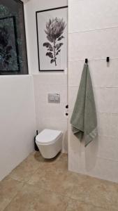 Bird of Paradise Flower Corner