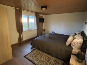Holiday apartment in Seiffen with Wi-Fi