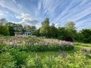 4 star holiday home in BRÖSARP