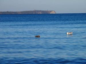 Holiday apartment with 2 bedrooms