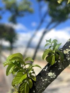 Suite Palace Exclusive lakeside loft