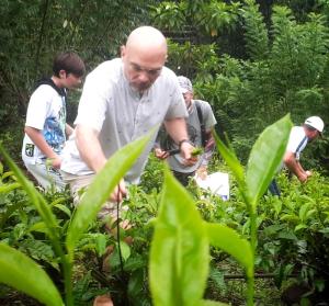 Tea Escape Holiday Villa and Cabanas