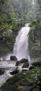 Amanecer mágico, Putumayo