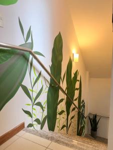 Viva o Melhor do Rio Vermelho