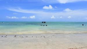 Flat charmoso na beira mar da Praia dos Carneiros Tamandaré
