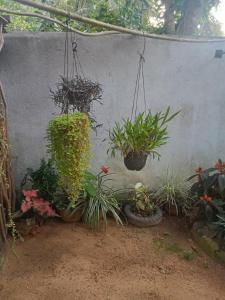 Kanchana Homestay