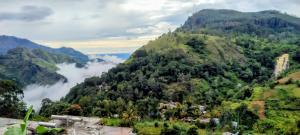 New Ella Nature View