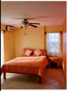 Paradise Suites & Residence