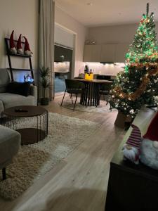 Arctic apartment Takapudas