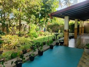 Freedom House Weligama