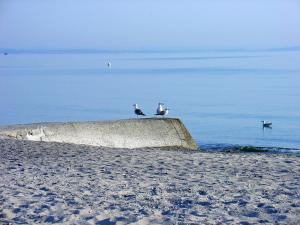 FeWo Machedanz am Hafen Timmendorfer Strand OT Niendorf