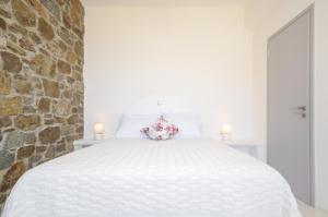 Casa Borealis Naxos Greece