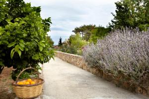 Avra Private Suites Kefalloniá Greece