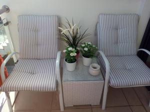 Troia Casas da duna Troia Casas da duna