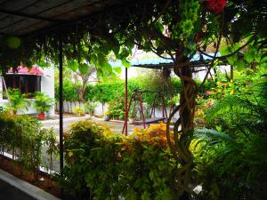 Garden Villa 43 by Tirupati Homestay, Free Breakfast, Near Taj hotel, Posh location, Close proximity to restaurants, Alipiri flyover