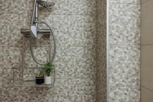 Celeste - University Square