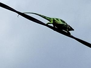 Hondo Hondo mountain view