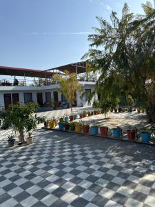 sukoon natural farm