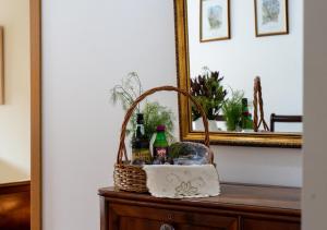 Funcho 91, cozy apartment in the heart of the city