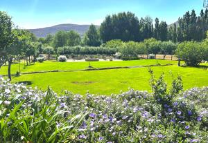 Paradijs in Nieu-Bethesda