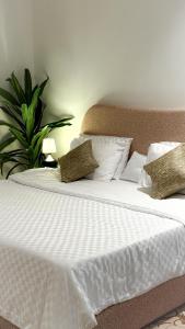 المدينه المنوره