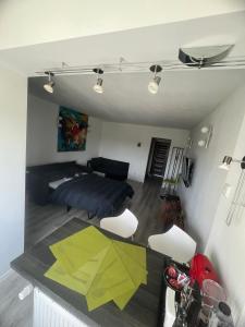 Open Space Mini Craiovei