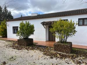 Casa Rural Piedras Negras, La Parchite, Ronda