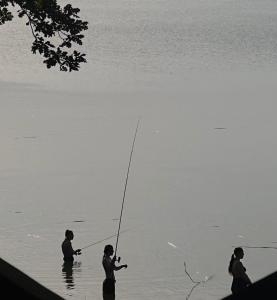 wschód nad polaną 17