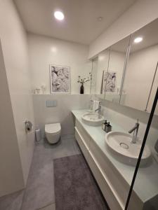 SO Fribourg City Center with Garden !